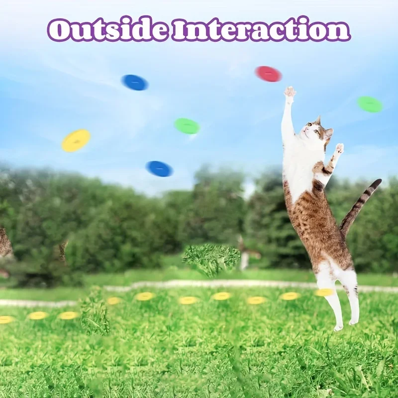 JMA Pet Goods flying disc launcher used outdoors with a cat jumping for discs