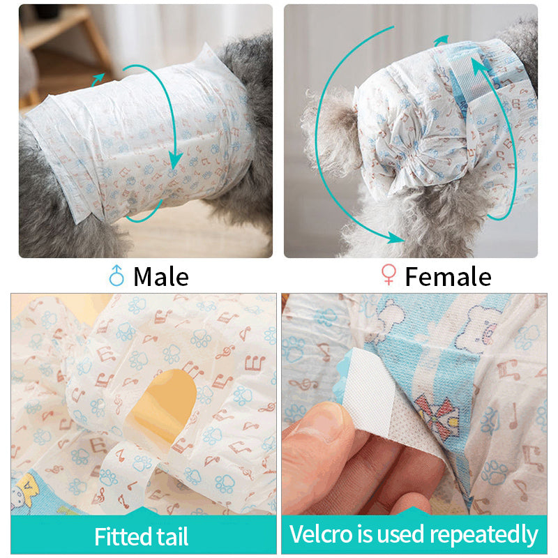 JMA Pet Goods male dog wrap and female dog diaper fit with tail opening and re-fastenable tabs