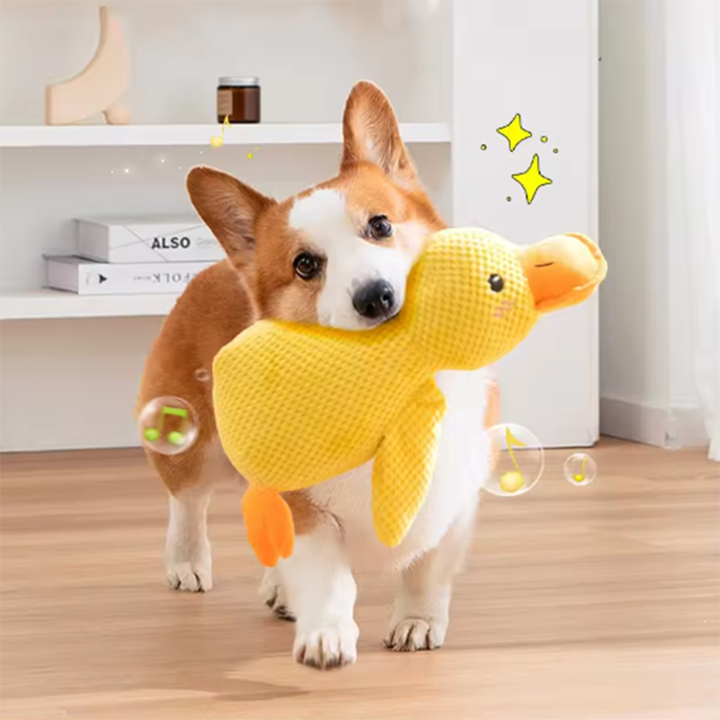 Corgi carrying the JMA Pet Goods soft yellow plush duck dog toy in its mouth