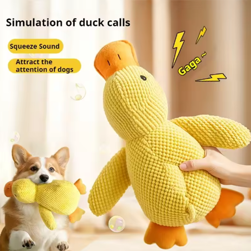 JMA Pet Goods duck dog toy with squeeze sound that attracts a dog's attention, shown with a corgi