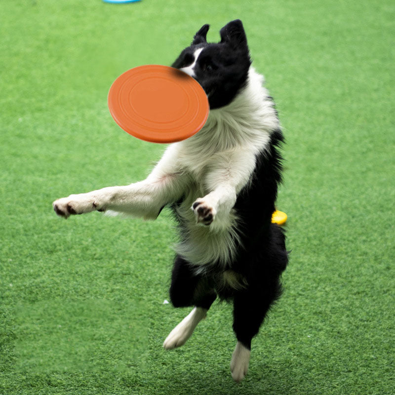 Dog jumping to catch a JMA Pet Goods silicone flying disc on grass